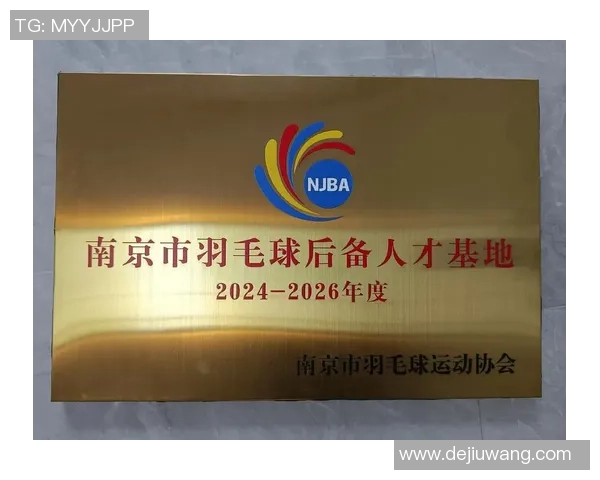 南京羽毛球队精英赛特别报道：从默默无闻到辉煌成就的奋斗之路